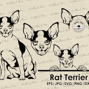 Rat terrier Dog SVG Cricut| Puppy Clipart| Vector Image DXF Download| printable art| png| Logo| body peeking| shirt| Dog Svg| Pet svg