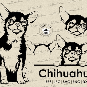 Chihuahua HUND svg| Hund Ganzkörper spähen Kopf Ohren Dateien für Cricut| Clipart| Vektor| PNG| dxf| druckbar| Cricut, Silhouette| Gewerblich