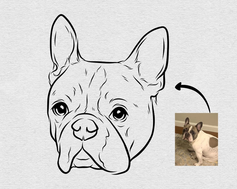 May include: Line art drawing of a French Bulldog's head, with a photo of a French Bulldog in the background.