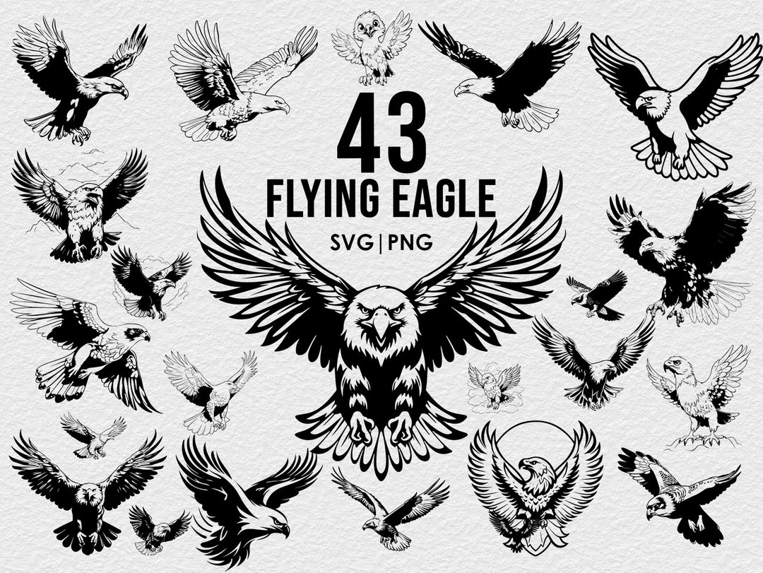 Flying Eagle Svg Bundle, Vector, Cricut, Digital Download, Png Bundle ...