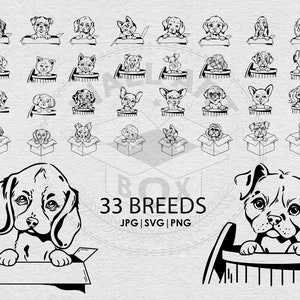 carino 33 cuccioli di razza in pacchetto di scatole disegno SVG, Png, jpg Bundle, cane che sbircia giocoso, taglio laser Cricut, tazza di t-shirt tatuaggio Grafica vettoriale