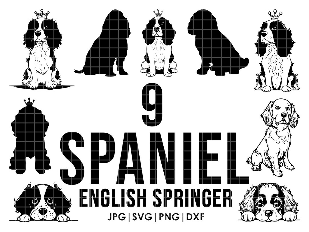 9 English springer Spaniels Dog Svg Bundle | Cricut | Peeking Dog ...