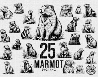 Marmot Vector Illustration Bundle, svg png Bundle, Digital Download, for Cricut, Engraving, Prints, wild animal print