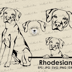 Puede incluir: Ilustración en blanco y negro de un perro Rhodesian Ridgeback en tres poses diferentes. El perro está sentado, de pie y mirando por encima de una barra. El texto "Rhodesian" y "EPS | JPG | SVG | PNG | DXF" está debajo de las imágenes.