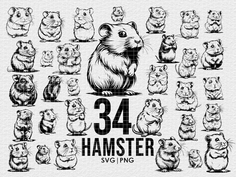 Hamster Vector Illustration, Svg Png Bundle, Digital Download, for ...