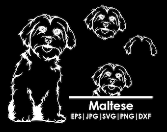 Maltese Dog Head, Full body, Peeking, Dog Ear, files Cricut| Clipart| Vector| PNG| dxf | printable| Cricut, Silhouette, svg
