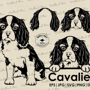 Cavalier svg arquivo de corte cachorro espreitando para Cricut | Cavalier corpo inteiro cabeça orelhas retrato arte gráfica vetorial obra de arte png design digital
