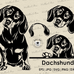 Dackel Hund SVG Cricut| Süßer Welpe Clipart | Vektor Bild DXF Download | druckbare Kunst| png| Logo| Körperpeeling| Shirt| Hund | Haustier svg