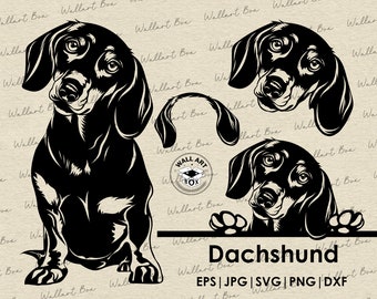 Dachshund Dog SVG Cricut| Cute Puppy Clipart| Vector Image DXF Download| printable art| png| Logo| body peeking| shirt| Dog Svg| Pet svg