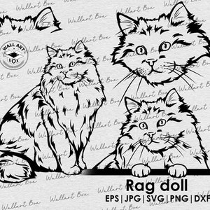 May include: Black and white line art illustration of a Ragdoll cat in three different poses. The cat is sitting, looking to the side, and looking straight ahead. The text "Rag doll" is written below the images, along with the file types available for download: EPS, JPG, SVG, PNG, and DXF.