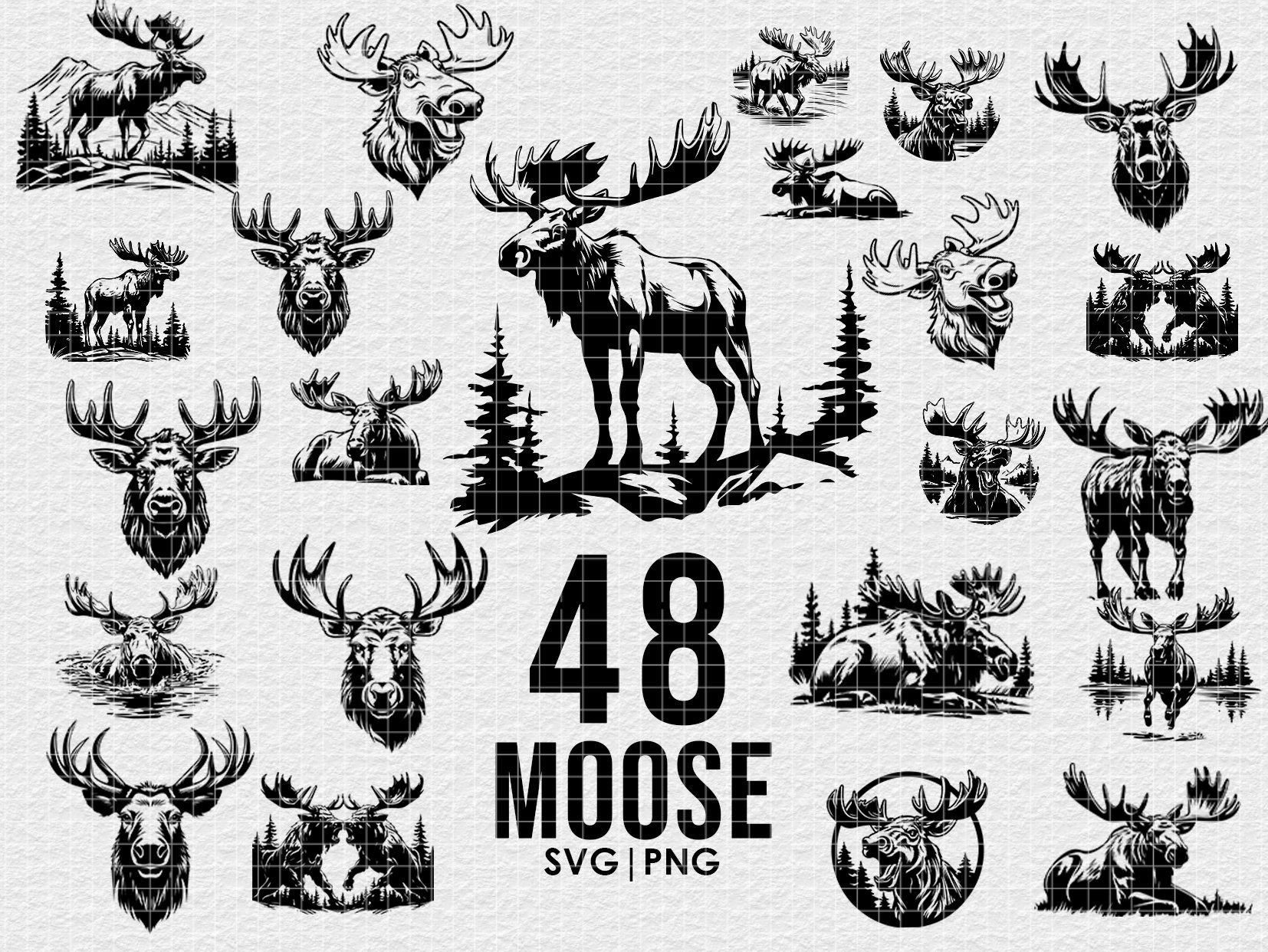 Moose Vector Illustration Bundle, svg png Bundle, Digital Download, for Cricut, Engraving, Prints, wild animal print