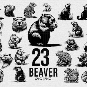 BEAVER Vector Illustration Bundle, svg png Bundle, Digital Download, for Cricut, Engraving, Prints, wild animal print