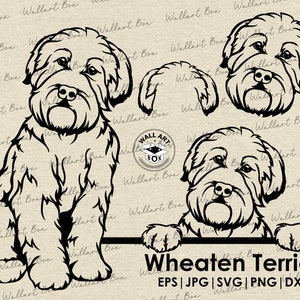Wheaten Terrier svg- Face-Dog svg-bestanden voor cricut- peeking dog full body vector-Wheaten Terrier oren- download eps, ai, svg, dxf, png