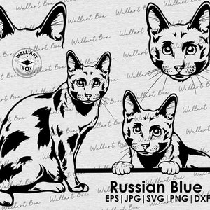 Chat bleu russe SVG Cricut| chaton Clipart| Vector Image DXF Télécharger| imprimable| PNG| Logo| corps jetant un coup d’œil| chemise| Pet svg | découpe laser