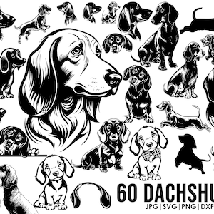 Dachshund SVG mega bundle drawing ear,full body,peeking,SILHOUETTE, head clipart Outline sketch Cricut laser cutting playful dog, Vector Dxf