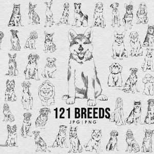 121 race Dog mega bundle dessin Png, jpg Bundle, Chien plein corps ludique, Tatouage, t-shirt, mug, Clip art chien, Téléchargement numérique, dessin à la main