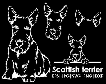 Scottish terrier Dog Head, Full body, Peeking, Dog Ear, files Cricut| Clipart| Vector| PNG| dxf | printable| Cricut, Silhouette, svg