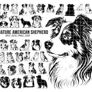 42 Miniature American Shepherd dog SVG mega bundle drawing ear,full body,peeking, SILHOUETTE, head clipart, Cricut laser cutting playful