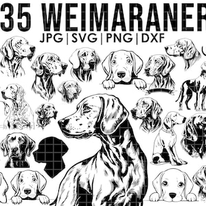 Puede incluir: Una descarga digital de 35 ilustraciones en blanco y negro de perros Weimaraner en varias poses. El texto "35 Weimaraner JPG | SVG | PNG | DXF" está en la parte superior de la imagen.