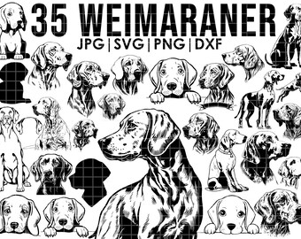 35 Weimaraner dog SVG mega bundle drawing ear,full body,peeking, SILHOUETTE, head clipart, Cricut laser cutting playful