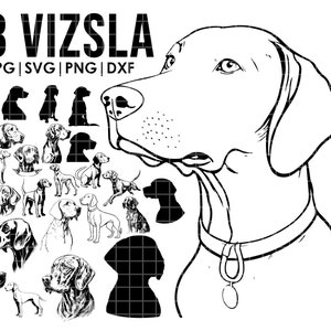 28 Vizsla dog svg bundle | svg, Cricut | Peeking dog clipart | Vector Image DXF Download | printable | png | full body ears