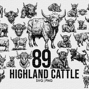 Puede incluir: Una colección de 89 dibujos en blanco y negro de ganado de las tierras altas en varias poses. Los dibujos están sobre un fondo blanco. El texto "89 HIGHLAND CATTLE SVG | PNG" está en la parte inferior de la imagen.