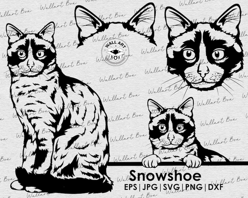 Snowshoe Cat Svg Cat Full Body Peeking Head Ears Files Cricut Etsy
