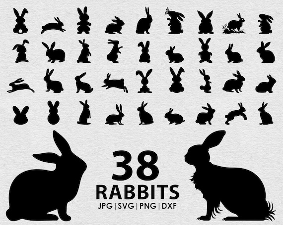 RABBIT SVG BUNDLE, Easter bunny svg,  Rabbit Silhouette for Cricut, bunny rabbit Bundle  svg,  Rabbit Cut Files, Bunny Clipart, Spring svg