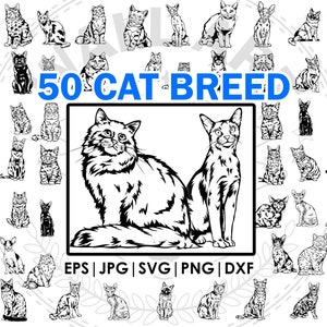 50 race chat mega bundle dessin SVG, Png, eps, dxf, jpg Bundle, chat fullbody ludique, découpe laser Cricut, tatouage, t-shirt, mug, vecteur