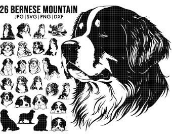 Bernese Mountain SVG mega bundle drawing, full body, peeking, SILHOUETTE, head clipart Outline sketch Cricut laser cutting playful dog, logo