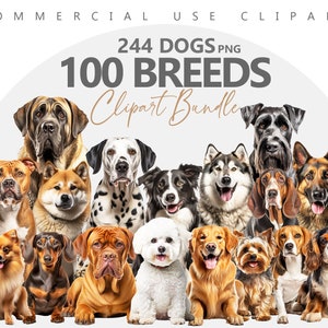 100 Dog Breeds clipart Bundle, 244 PNG, Pet, German Shepherd, French Bulldog, Labrador, Retriever, Poodle, Terrier, Commercial Use