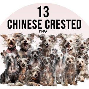 チャイニーズ クレステッド ドッグの品種のクリップアート バンドル、犬の昇華デザイン、犬の品種の PNG、かわいい犬のデジタル イラスト、犬のポートレート プリント