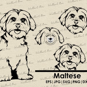 Malteser svg Hund Ganzkörper spähen Kopf Ohren Dateien für Cricut | Clipart| Vektor| PNG| dxf| druckbar| Cricut Silhouette