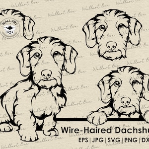 Wire-Haired Dachshund svg| Dog svg files for Cricut| Peeking dog clipart| Vector Image DXF Download| printable art| png| full body face ears