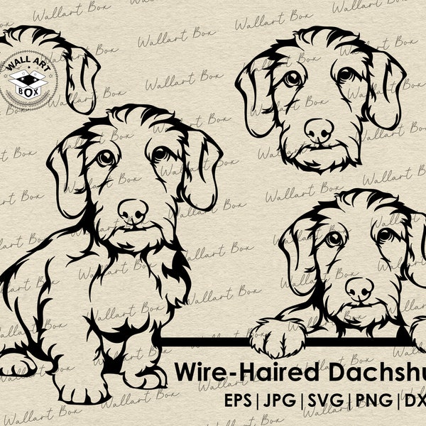 Teckel à poil dur svg | Fichiers svg chien pour Cricut | Clipart de chien furtivement | Téléchargement d'images vectorielles DXF| art imprimable | png| oreilles visage complet du corps