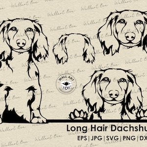 Long hair dachshund svg cut file dog peeking for Cricut| dachshund full body, ears portrait vector graphic png digital design, clipart,DXF,