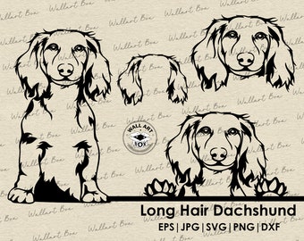 Long hair dachshund svg cut file dog peeking for Cricut| dachshund full body, ears portrait vector graphic png digital design, clipart,DXF,