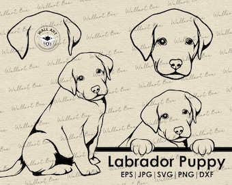 Labrador puppy svg- cute puppy Face-Dog svg files for cricut- peeking dog -full body vector-Labrador puppy- download eps, ai, svg, dxf, png