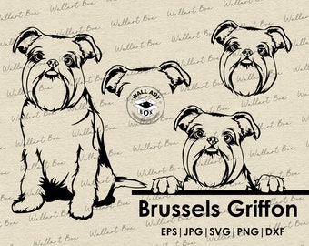 Op de afbeelding: Zwart-witte lijntekening van een Brusselse Griffon in drie verschillende poses. De hond kijkt in één pose recht naar de kijker en kijkt in een andere pose over een oppervlak. De tekst "Brussels Griffon" en "EPS | JPG | SVG | PNG | DXF" staat onder de afbeeldingen.