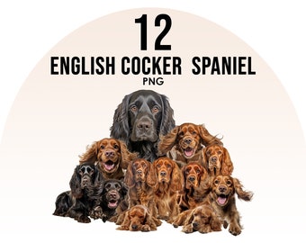 English Cocker Spaniel Dog Breeds clipart Bundle, Dog Sublimation Designs, Dog Breeds PNG, Cute Dogs Digital Illustration, Dog Portrait