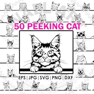 50 races peeking cat mega bundle dessin | clip art, SVG, Png, eps, dxf, fichier jpg | Contour de chat espiègle | Coupe de vecteur Cricut Cut