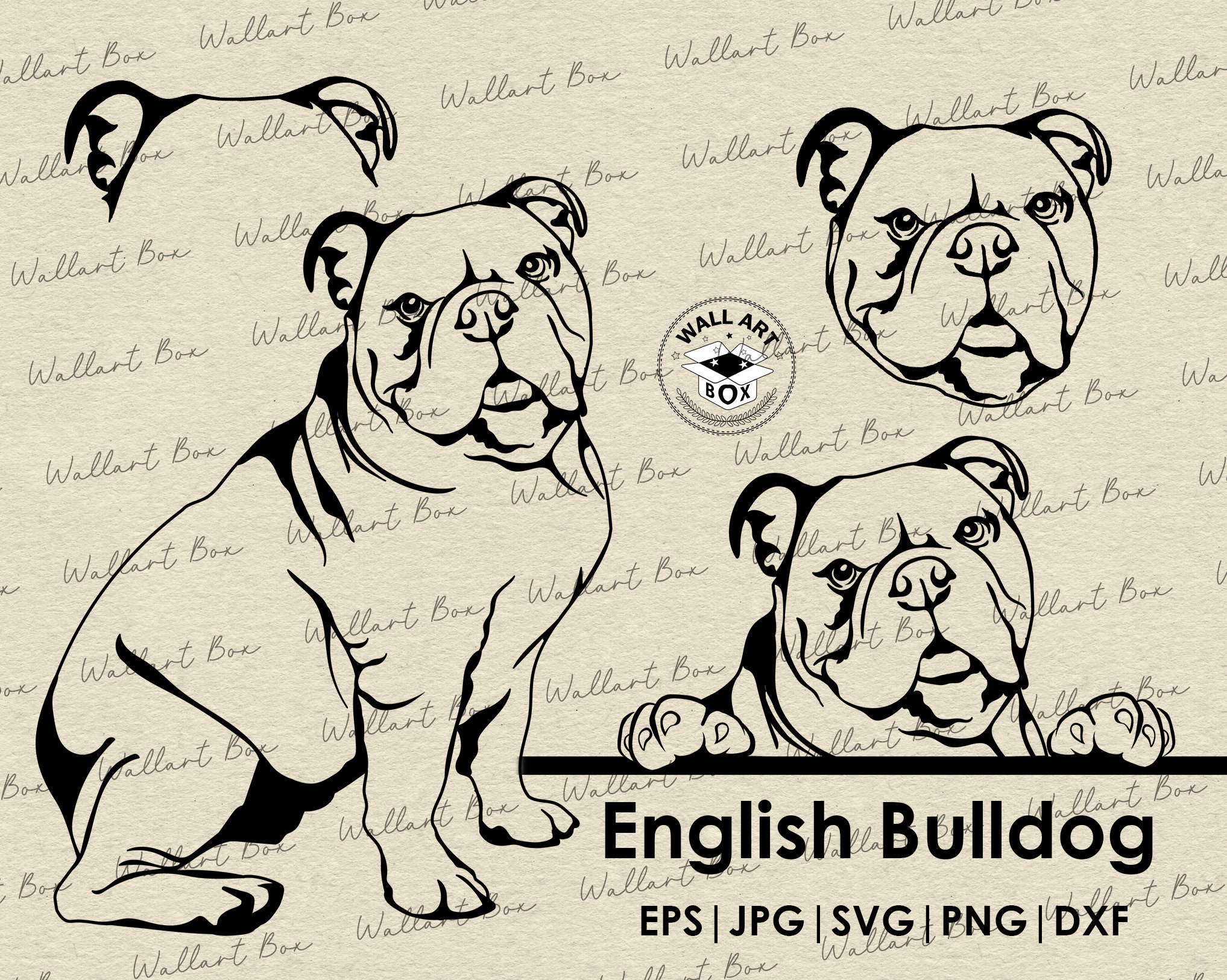 English Bulldog Svg Cut File Dog Peeking for Cricut| Bulldog Full Body Head  Ear Portrait Vector Graphic Art Artwork Png Digital Design - Etsy, image size:2035x1625