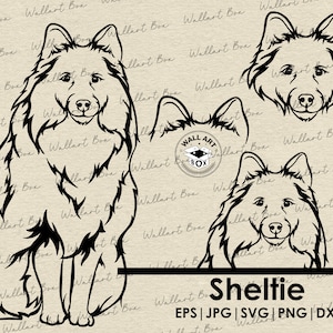 Op de afbeelding: Zwart-witte lijntekening van een Shetland Sheepdog in drie verschillende poses. De hond zit, staat en kijkt recht vooruit. De tekst "Sheltie" en "EPS | JPG | SVG | PNG | DXF" staat onder de afbeeldingen.