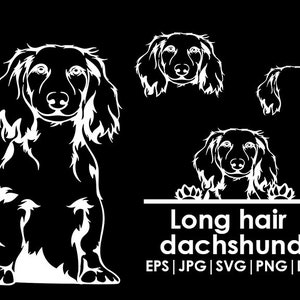 Long hair dachshund Dog Head, Full body, Peeking, Dog Ear, files Cricut| Clipart| Vector| PNG| dxf | printable| Cricut, Silhouette, svg