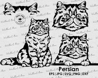 Persian Cat svg| cat full body peeking head ears Digital files| Clipart| Vector|  PNG| dxf| printable| Cricut, Silhouette| laser cutting