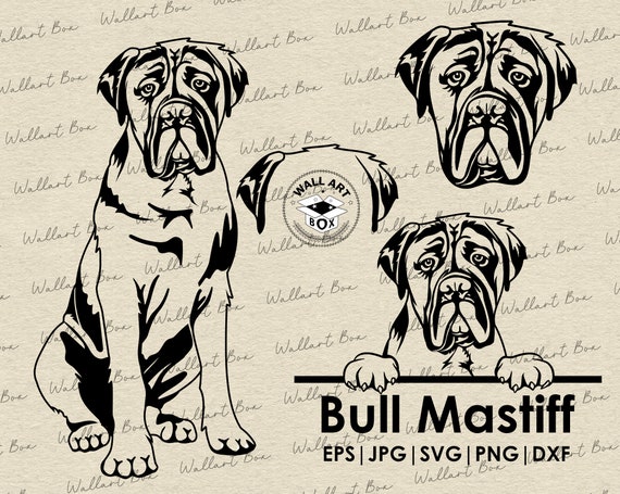 Bullmastiff ears cheap