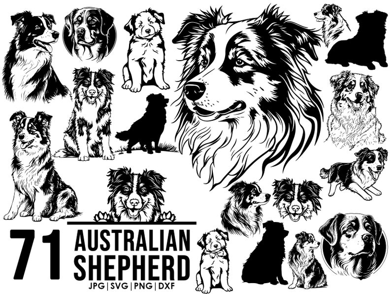 Australian shepherd svg bundle Dog svg files for Cricut Peeking dog clipart Vector Image DXF Download printable art png full body ears image 1