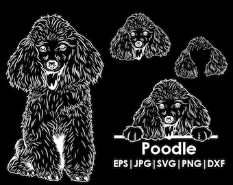 Poodle Dog Head, Full body, Peeking, Dog Ear, files Cricut| Clipart| Vector| PNG| dxf | printable| Cricut, Silhouette, svg