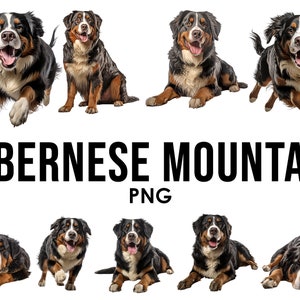 Berner Sennenhund Rassen Clipart Bundle, Hundesublimations-Designs, Hunderassen PNG, niedliche Hunde digitale Illustration, Hundeporträt-Drucke