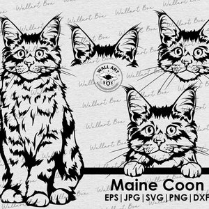 Maine Coon Katze svg| Katze Svg-Dateien für Cricut| Katze Clipart| Vektorbild DXF Download| druckbare digitale Kunst| png| Logo| Körper guckend